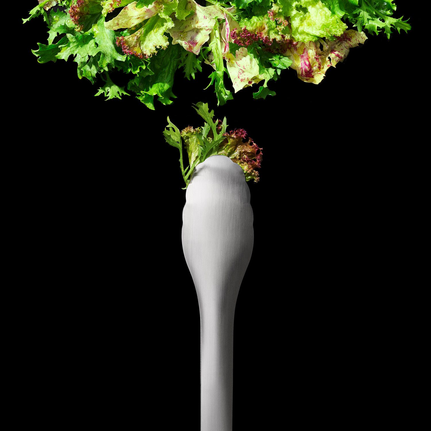 לויזון מרקט,מלקחיים להגשה נירוסטה OXO, לויזון מרקט,מלקחיים להגשה נירוסטה OXO,