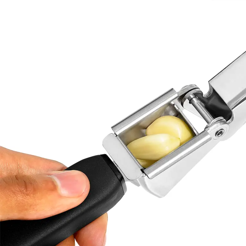 לויזון מרקט,כותש שום גדול OXO, לויזון מרקט,כותש שום גדול OXO,