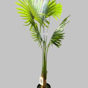 לויזון מרקט,עציץ עלים ירוקים 4 עלים רחבים במראה טבעי גובה 120 ס"מ,38